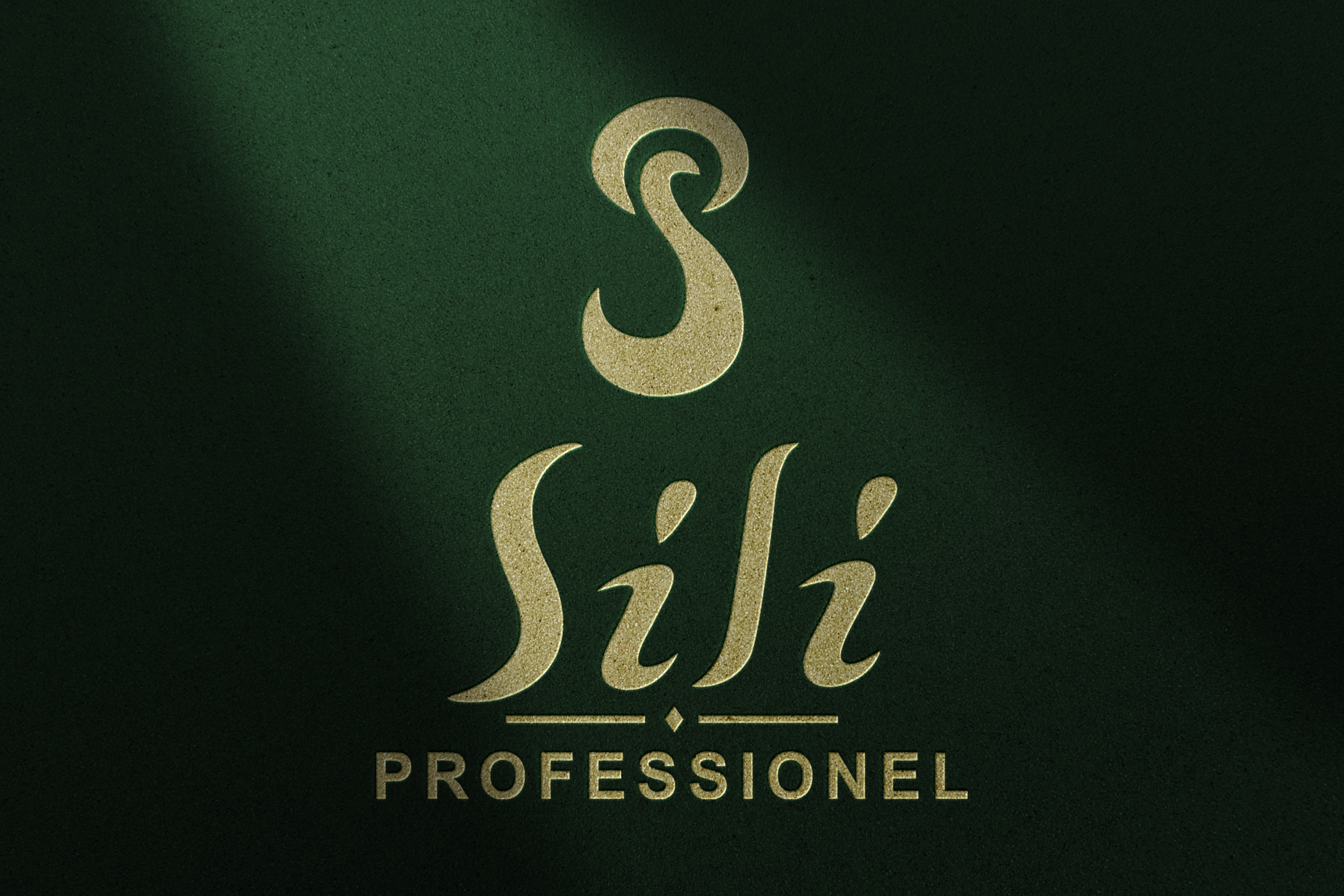 Sili Professionel Logo